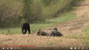 VIDEO: Close Bear Encounter - Alberta Hunt