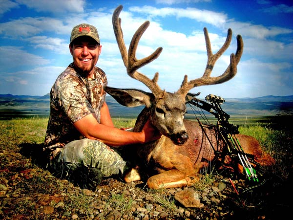 Quest For A Trophy Velvet Mule Deer Buck