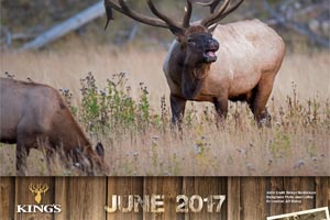 What Will You Find inside a 2017 Kings Calendar?