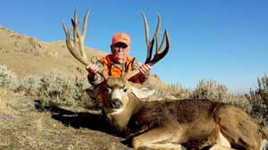 Antelope Island Mule Deer 2013: 247 Giant Buck