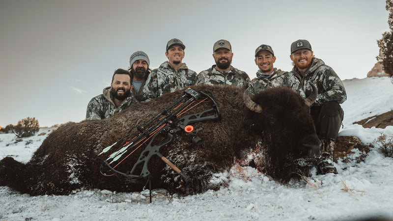 Entire Expertvoice Collection