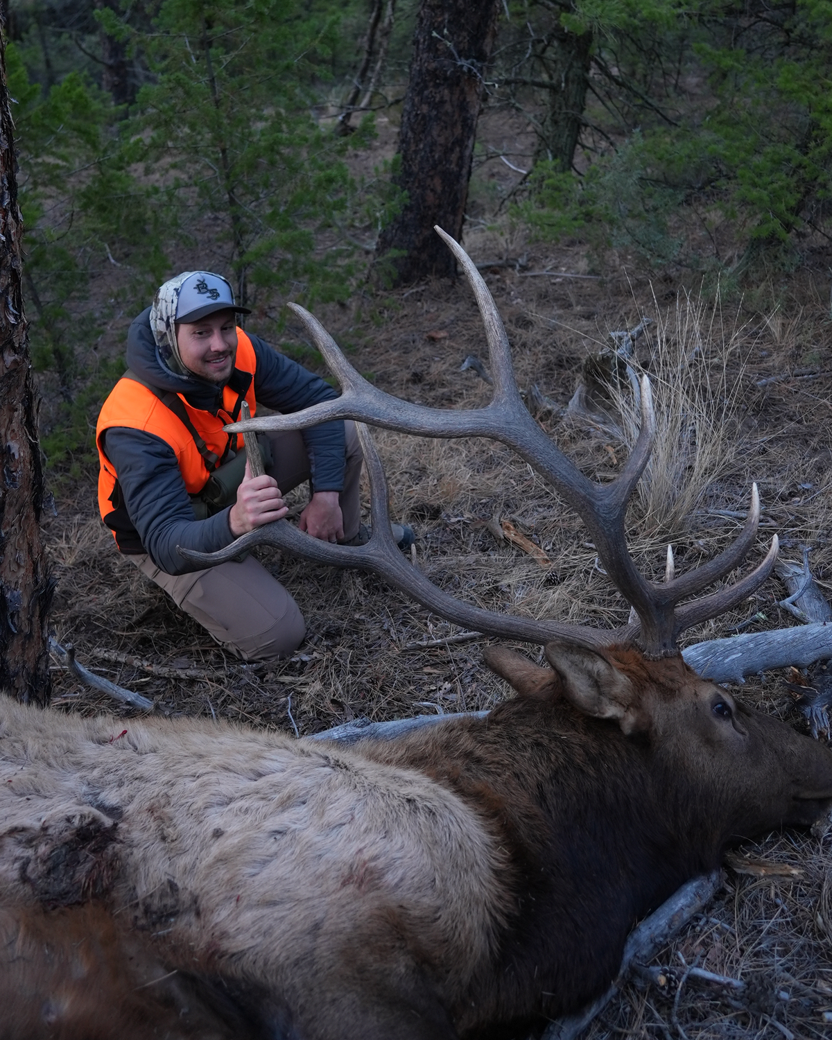 Mid Season Elk Bundle