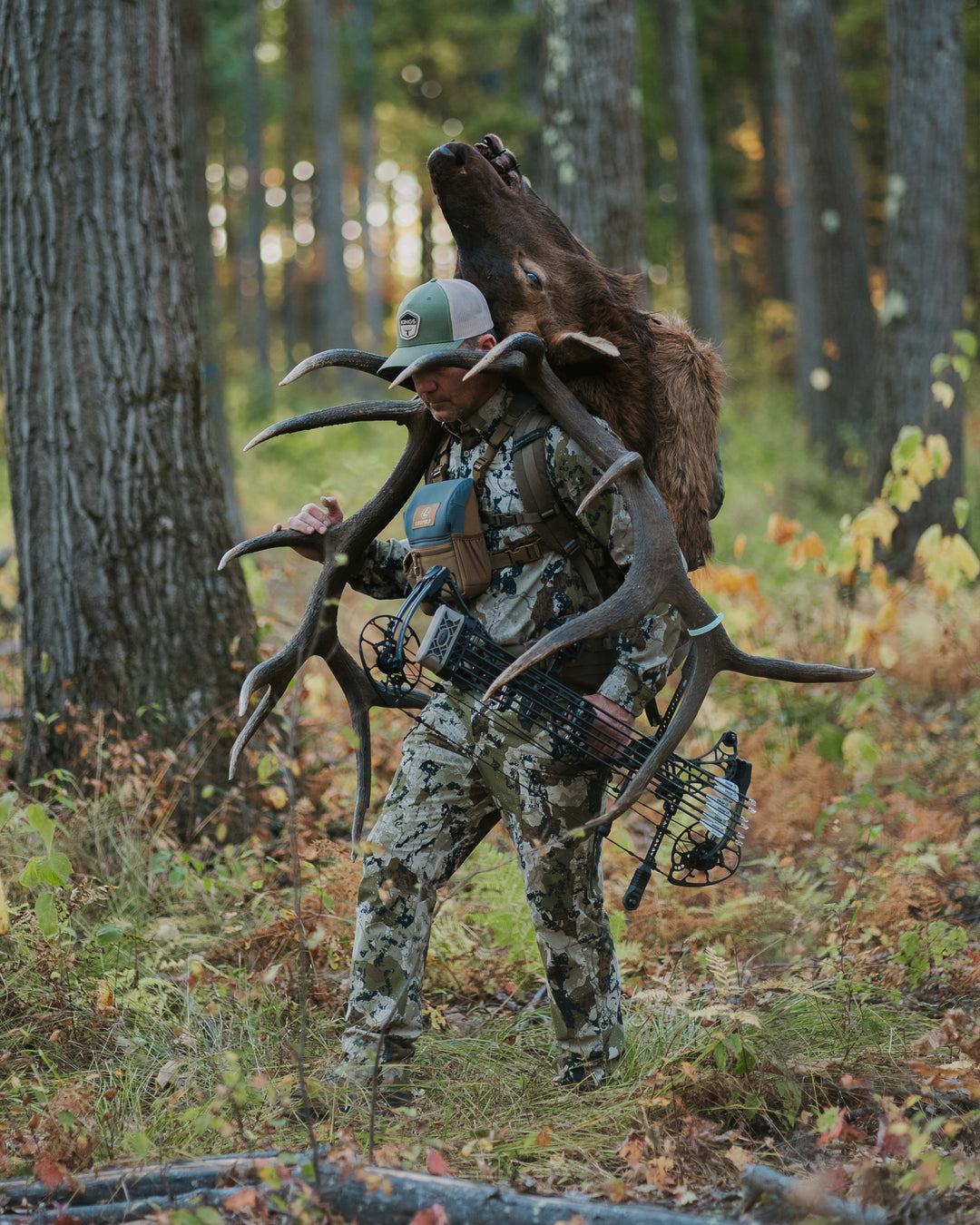 Elk Starter Bundle