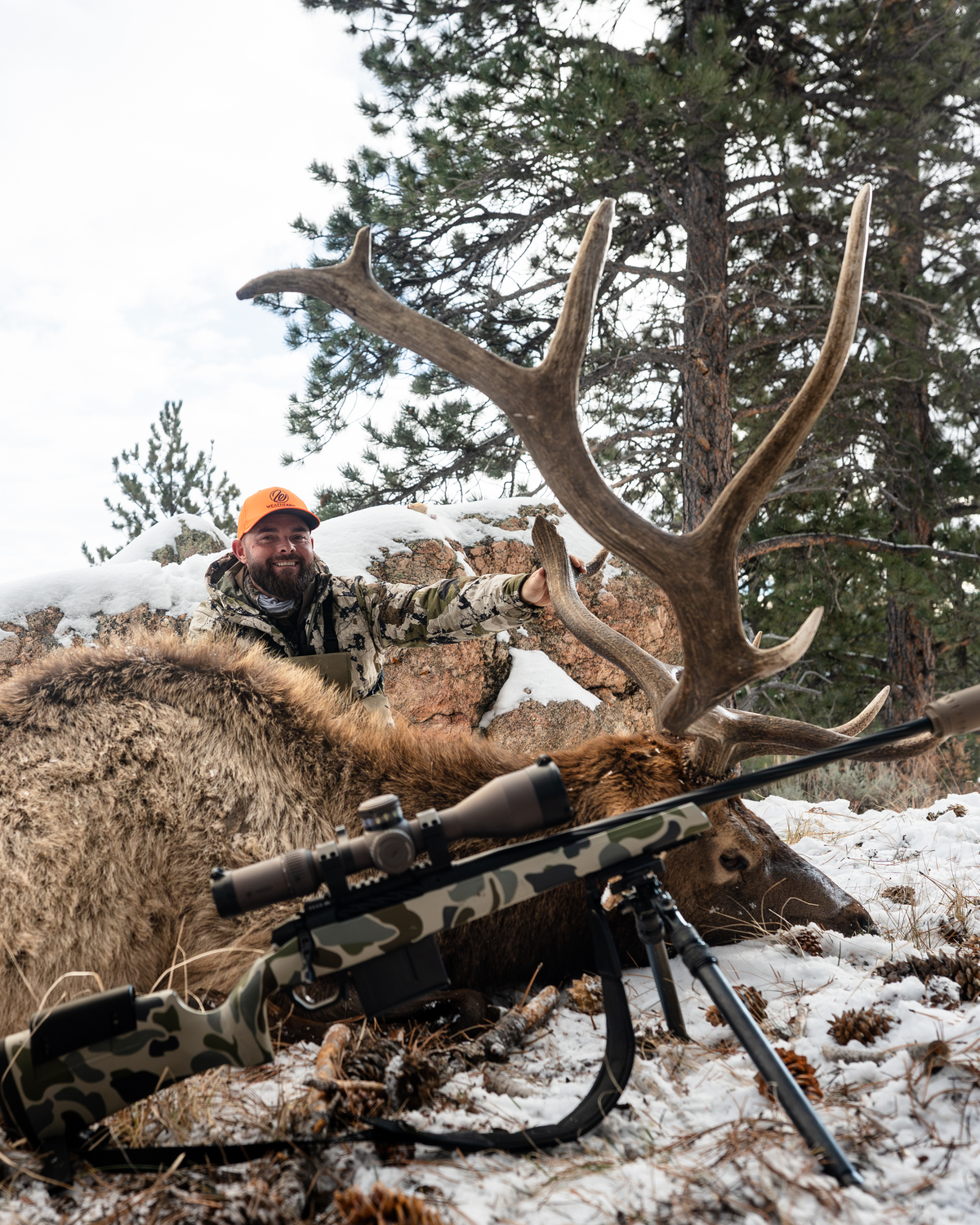 Late Season Elk Bundle