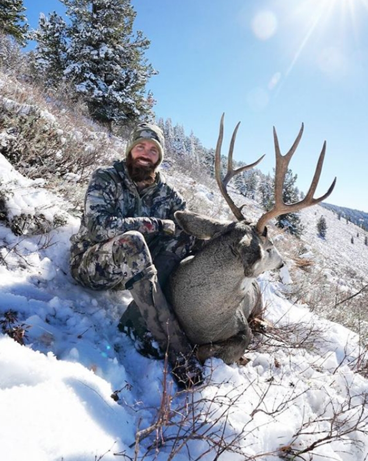 Late Season Mule Deer Bundle