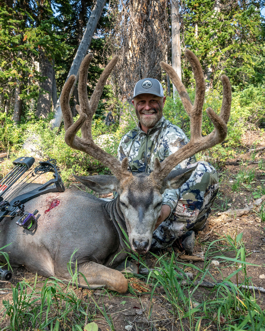 Early Season Mule Deer Bundle